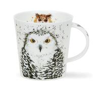 Dunoon Cairngorm 0.48L Owl Mug Over What A Hoot (White)