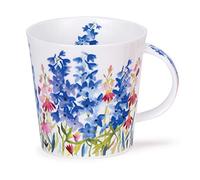 Dunoon Cairngorm Campagne Delphinium