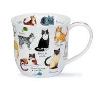 Dunoon Cumbrae Cat Breeds 0.45 Litre Fine Bone China Mug