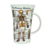 Dunoon Fine Bone China Glencoe Shaped Mug - The Human Body