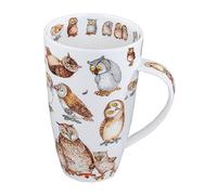 Dunoon Henley Fine China TWITTERS OWL Mug Cup 600ml 20.29 fl oz