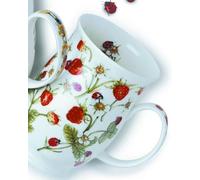Dunoon Suffolk Dovedale Ladybird Mug