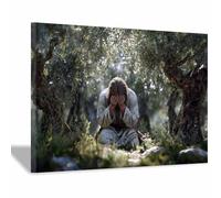 DunPei Christian Jesus Wall Art The glorious Jesus Canvas Prints Religious Wall Decor, Baptism Gifts, Serenity Prayer Wall Art for Bedroom, Prayer Room(multicolored)-30x45cm Framed