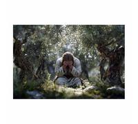 DunPei Christian Jesus Wall Art The glorious Jesus Canvas Prints Religious Wall Decor, Baptism Gifts, Serenity Prayer Wall Art for Bedroom, Prayer Room(multicolored)-80x120cm Unframed