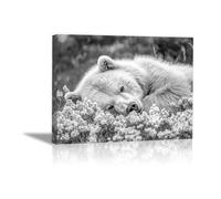 DunPei Print On Canvas Animal The Picture Palm strike bear For Home and Hallway Decoration Modern Decoration Portrait Wall Art Painting Pictures(Black and white)-50x70cm Framed