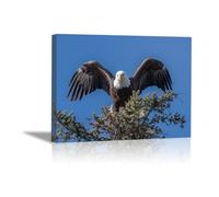 DunPei The Picture of Animal Print On Canvas Soaring eagles Artistic Wall Art Painting Artwork Pictures For Home Living Room Modern Decor Decoration(blue)-60x90cm Framed