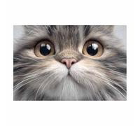 DunPei ZhongXinArt Wall Art,Animals Canvas Picture Prints A nimble cats Modern Aesthetic Posters Prints For Living Room(white145)-30x45cm Unframed