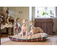Dunrich Bespoke Pillow Pet Bed, 100% British Wool Cover with Polyester Filling, Polka Dot, Reversible, multispot, Beige with Piping size Large