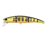 DUO Ryuki Quattro 70S - Gold Yamame