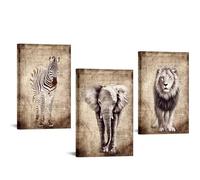DuoBaorom Zebra Picture Wall Decor Wildlife Elephant Lion Canvas 3 Pieces Wall Art 16"x24"