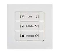 DuoFern BAT 9494-1 Multi-Wall Button Wireless and Radio-Capable Multiwall Button for DuoFern Receiver