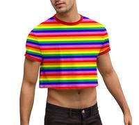 Duohropke T-Shirt Men's Rainbow Crop Top Short Sleeve Fitness Muscle Shirt Rainbow Striped Undershirts LGBT Pride Tops Crew Neck Crop Gay Hot Shirts