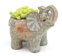 duojin Ceramic pot elephant Cacti Succulent Plant Pot Flower Planter Mini Garden