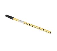 Duokon Irish Tin Whistle 6 Holes Clear Sound Penny Flute Metal and ABS Accurate Tuning with Storage Box Easy to Play for Beginners Musicians Folk Music Learning (C Tune)