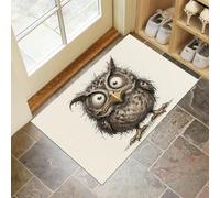 DUOTCYELE Fun Owl Doormat Rug 60 x 90 cm Entryway Mat, Abstract Cartoon Animal Non Slip Indoor Carpet for Front Door Porch Patio Low Profile Welcome Floor Mat, Beige