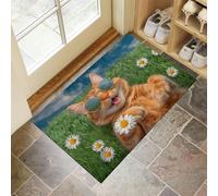 DUOTCYELE Grass Daisies Orange Cat Welcome Mat Non-slip Doormat Outdoor Indoor - Fun Summer Illustration Front Door Mat Entrance Porch House Decorative 50 x 80 cm, Orange