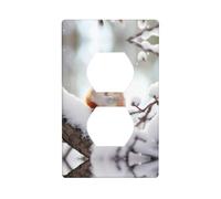 Duplex Socket Decorative Wall Plate Electrical Receptacle Light Switch Quality Faceplate Switchplate for Home Decor 4.5 X 2.76 in Little Squirrel on The Snow Tree Printed