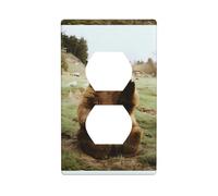 Duplex Socket Decorative Wall Plate WHJSHOP Hi Bear Sit on The Lawn Prints Wall Decoration Flexible for Living Room Bedroom Bathroom