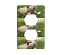 Duplex Socket Decorative Wall Plate YYHHAOFA Cute Guinea Pig Pattern Wall Decoration Flexible for Living Room Bedroom Bathroom