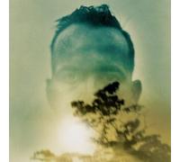 Duquette Johnston - Rabbit Runs A Destiny [Vinyl]