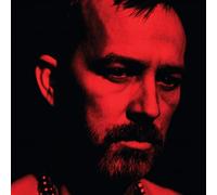 Duquette Johnston - The Social Animals [VINYL]