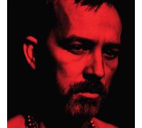 Duquette Johnston - The Social Animals [VINYL]