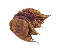 Durable 10pcs / pack Catappa Indian Almond Leaves Natural Terminalia Catappa Leaves Island Almond Leaf for Fish Aquarium Tank Sturdy