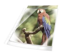 Durable Premium A4 Punched Pocket with Coloured Edge White | Crystal Clear and Made from PP | Pack of 25 | Perfect for Protecting Important Documents