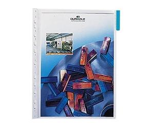 Durable 560706 Universal Punching Function Display Panel with Blue Rider (Pack of 5)