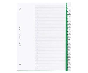 Durable 622305 Blank Index File with Sealed Tabs and 20 Insert Labels for A4 Sheets - Green