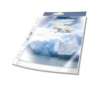 Durable A4 Crystal Clear Punched Plastic Wallets - German Made Poly Pocket Stati