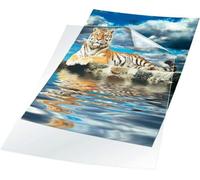 Durable Transparent Document Pockets A4 | Rigid Plastic Wallet with Thickness of 0.12mm | Large Pack of 100 Clear Pockets