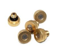 Durable Brass Misting Nozzles 10/24 UNC Mist Nozzle Tips Low Pressure Atomizing Sprayer for Outdoor Cooling, Patio Mister, Landscaping & Dust Control - Includes O-Ring Orifice:0.7mm 10 Pieces