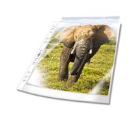 Durable Transparent Punched Pocket A4 Portrait | Punched Document Wallet with Thickness of 0.06mm | Large Pack of 100 Transparent Pockets