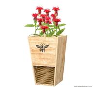 Durable Cedar Mason Bee House & Planter by Woodlink