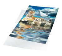Durable Transparent Plastic Wallets A3 - Rigid Poly Pockets with Thickness of 0.30 mm - Pack of 10 Punched Pockets