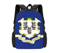 Durable Knapsack Connecticut State Flag Print School Rucksack Resistant Daypack for Hiking, Work, Travel, 42X32X14Cm