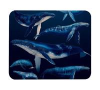 Durable Mouse Pad Marine Mammals with Whales Mouse Mat Desk Mats 25x30cm for PC,Gamer,Game