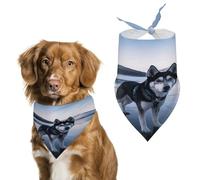 Durable Pet Bandana, Dog on A Frozen Lake Print Triangle Scarf for Dogs & Cats, Soft, Stylish & Easy to Wash, Ideal for Walks, Photos & More