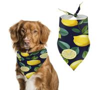 Durable Pet Bandana, Lemon Fruit Print Triangle Scarf for Dogs & Cats, Soft, Stylish & Easy to Wash, Ideal for Walks, Photos & More