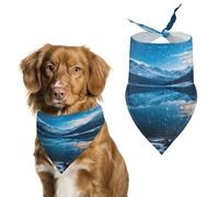 Durable Pet Bandana, Moraine Lake in A Starry Winter Night Print Triangle Scarf for Dogs & Cats, Soft, Stylish & Easy to Wash, Ideal for Walks, Photos & More