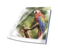 Durable Premium Poly Pockets A4, Pack of 100, Blue Edge, Made from PP | Crystal Clear Punched Pockets with Coloured Edge, Reinforced Punched Holes with Universal Punching that Fits any File