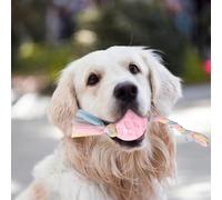 Durable Puppy Chew Toys for Teething Small Dogs Interactive Pet Teething Ring Soft Rubber Dog Toys Set Chewing Rope Toy for Puppies Training Biting (B, One Size)