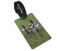 Durable PVC Luggage Id Tags for Suitcases TSA Approved, Personalized Travel Bag Identifier for Suitcases Backpacks, Loon Nature Bird Luggage Tag,Tear-Resistant Contact Info Tag Holder for Kids