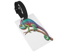 Durable PVC Luggage Id Tags for Suitcases TSA Approved, Personalized Travel Bag Identifier for Suitcases Backpacks, Chameleon Listen Music Luggage Tag,Tear-Resistant Contact Info Tag Holder for Kids