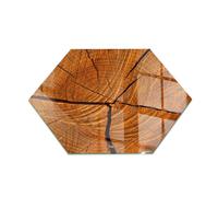 Durable Tempered Glass Hearth Mat Wood Cross-Section with Natural Grain 40 cm