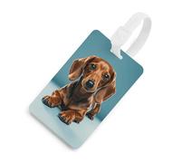 Durable TPU Luggage Tag with Information Card, Scratch-Resistant Travel Bag Tag, Cute Dachshound Dogs Suitcase Tags for Bags & Tools, White-Style