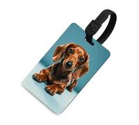Durable TPU Luggage Tag with Information Card, Scratch-Resistant Travel Bag Tag, Cute Dachshound Dogs Suitcase Tags for Bags & Tools, Black-style, One Size, classic