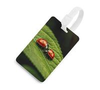 Durable TPU Luggage Tag with Information Card, Scratch-Resistant Travel Bag Tag, Leaves and Ladybug Suitcase Tags for Bags & Tools, White-Style