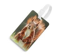 Durable TPU Luggage Tag with Information Card, Scratch-Resistant Travel Bag Tag, Red Squirrel Suitcase Tags for Bags & Tools, White-style, One Size, classic